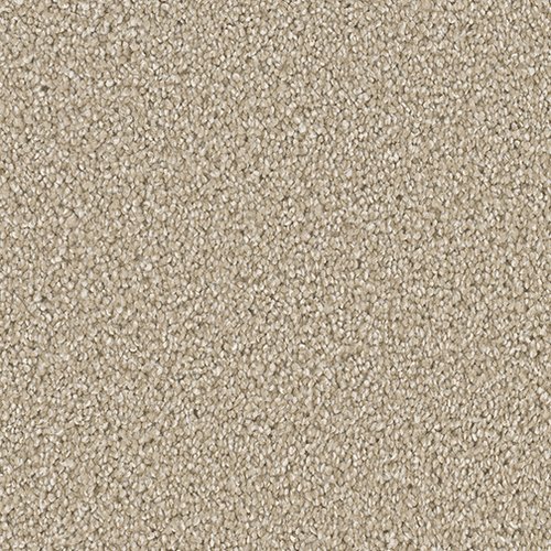 Dreamweaver - Boca - Sawgrass | Osborn's Georgie Carpet - In-Stock Carpet Items | 385 W Honey Creek Drive, Terre Haute, Indiana 47802 | (812) 289-7027